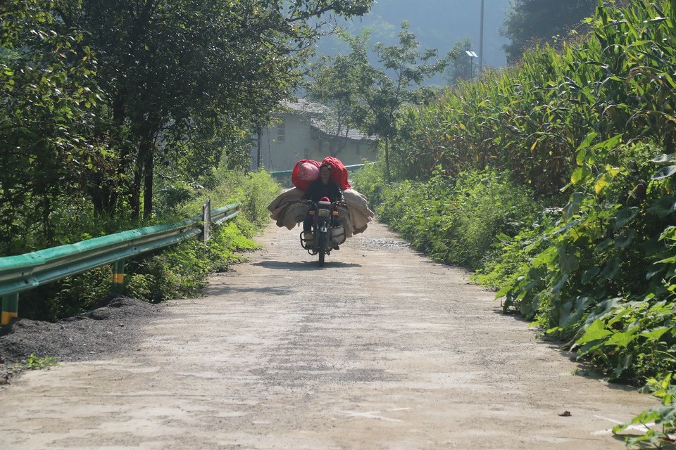 1598668911547_38d6bf6f_cc3a_413c_bb92_b563ac5d33fb