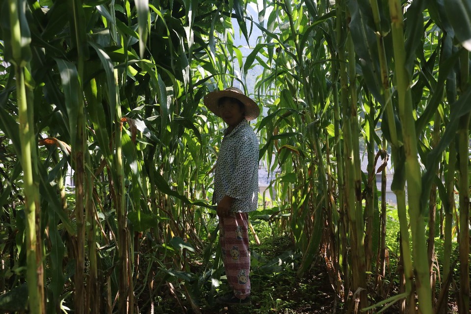 1598668947953_ae573f0c_d06c_4938_8317_d822019bfe58