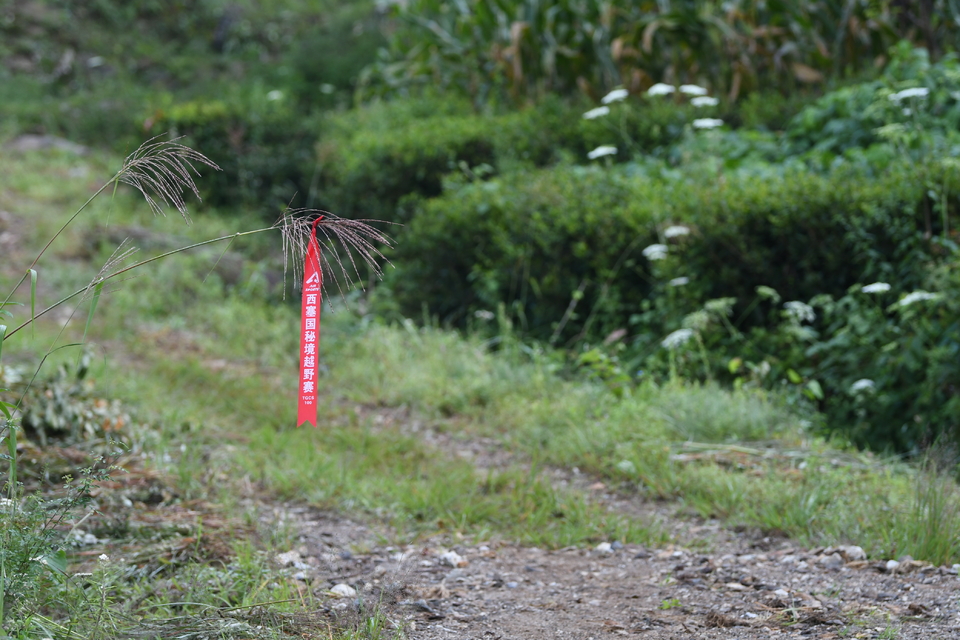 1598682204221_246b0ecf_e9c0_11ea_b61e_f0d5bfaeb108