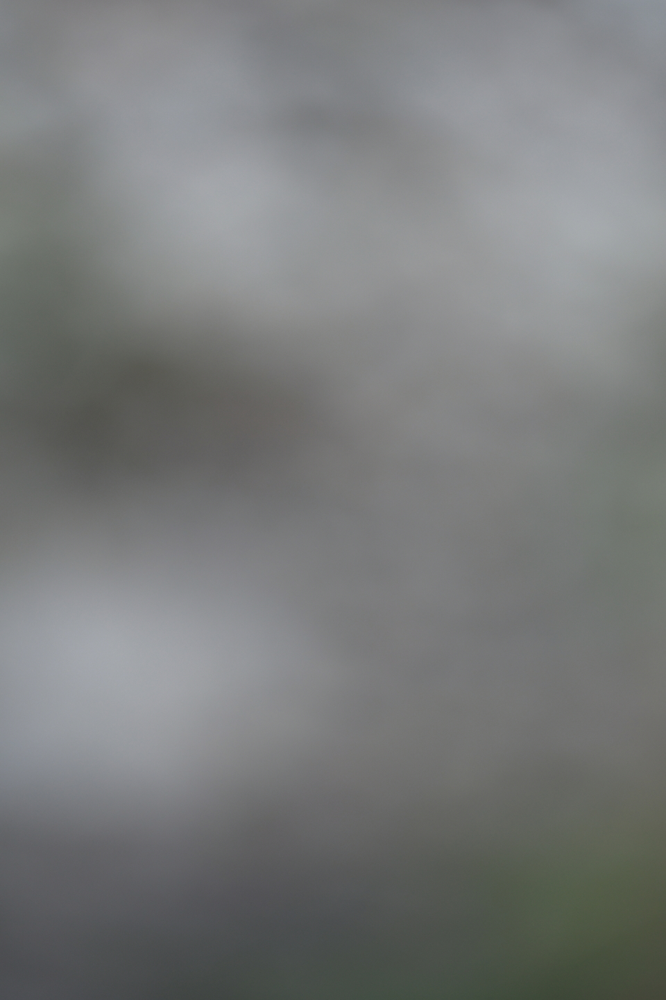 1598682204221_246b0ed0_e9c0_11ea_a56a_f0d5bfaeb108