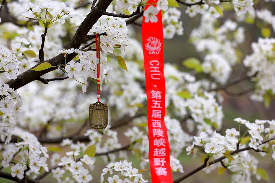 4522751D-2363-4A9F-80E2-F1BABDED0D2A