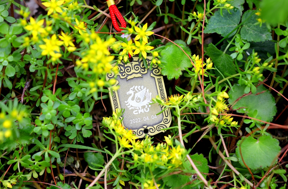 E2A3623C-C6A9-4964-A6A8-4F4A8FAFE5D2