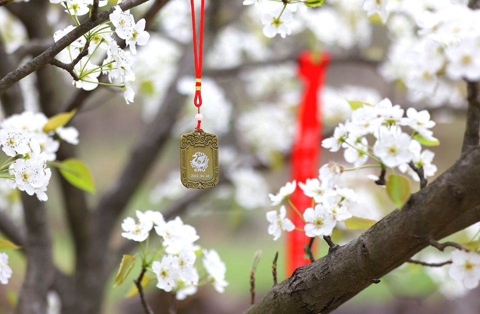 64214533-985B-4806-83F1-A37376444E33