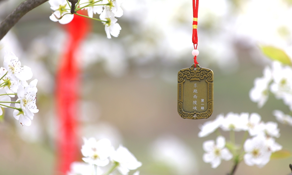 6B0021CF-D54B-47CB-B056-45590288C393