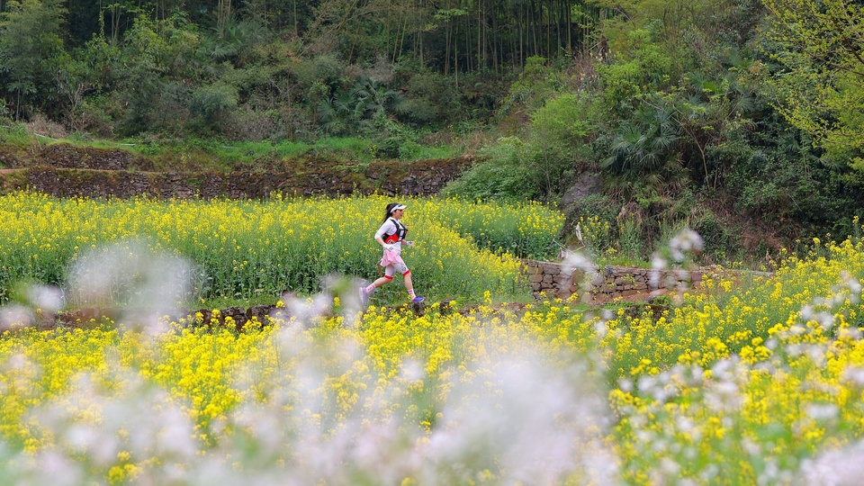 D4DA8B81-287E-4CEB-AC29-15C7FD2984DD