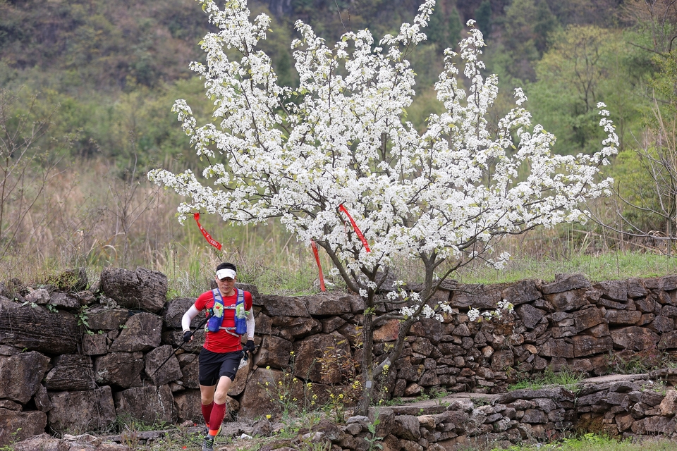 87686A6F-1F74-4308-89EB-48F9500EF2ED