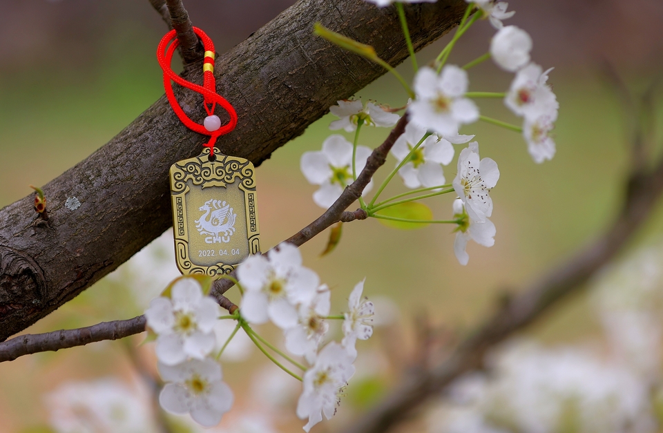 BB487F9A-AA93-4A74-A06D-3B19B482BCE5