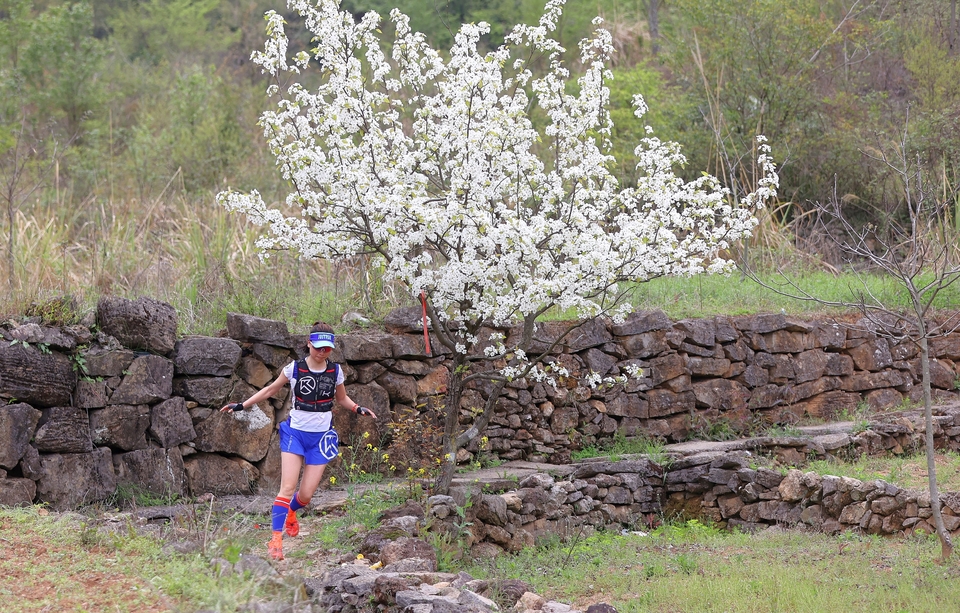 AD446E99-2A11-41D6-AFE3-CD09F5360E77