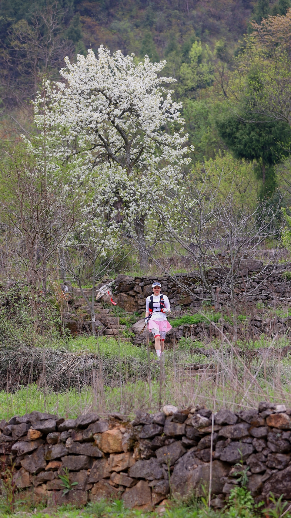 8D1E07F3-2018-4586-8EB9-A7E7CEEFF4A4