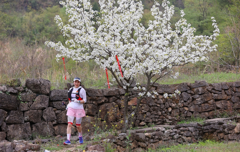 264648E5-901B-4F68-B916-3FC25483681C