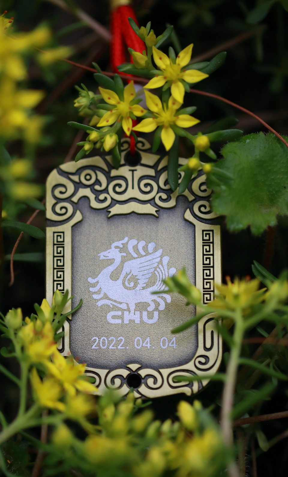 E7347706-4FBD-4456-85DE-9581C59C7013