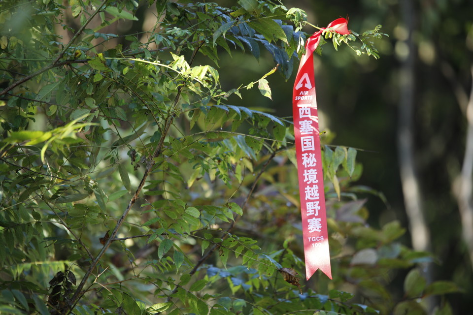 877BEE91-D1C4-429A-AF05-3D8FCA34F04D