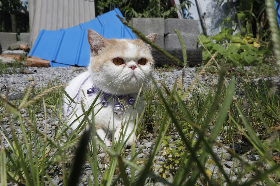 5D706556-F86A-401C-8127-10B094A4AB38