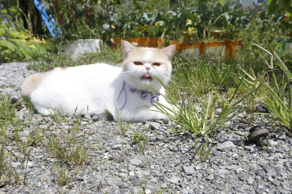 3A529CF7-B9E9-4924-A8FA-363C6E11BFDE