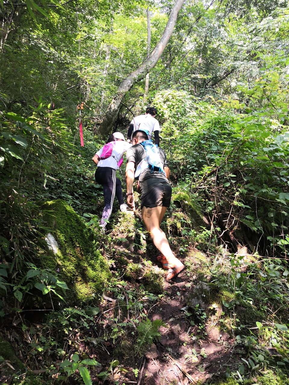 XD0VXqo6YOxSe94dFHNXt96-uvELZnXXcpKmHByX2wUNSQ--2Nr-5D_FmzyLDmt-