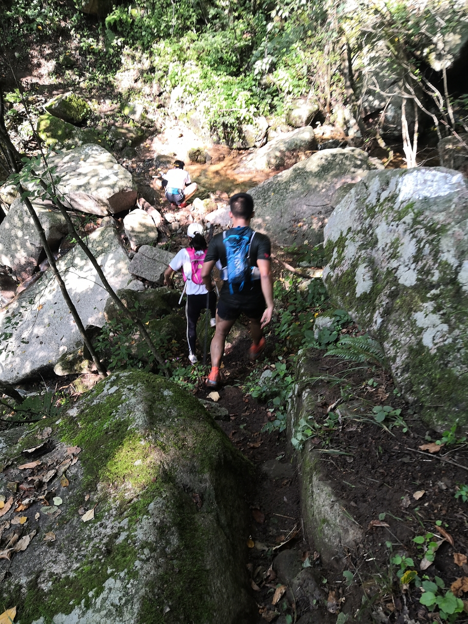 kM3v7lJ-h34l6Guf2egFxJFyQFXm976hdSOTK138A343M7LHbOkAN-ToykX_oFMz