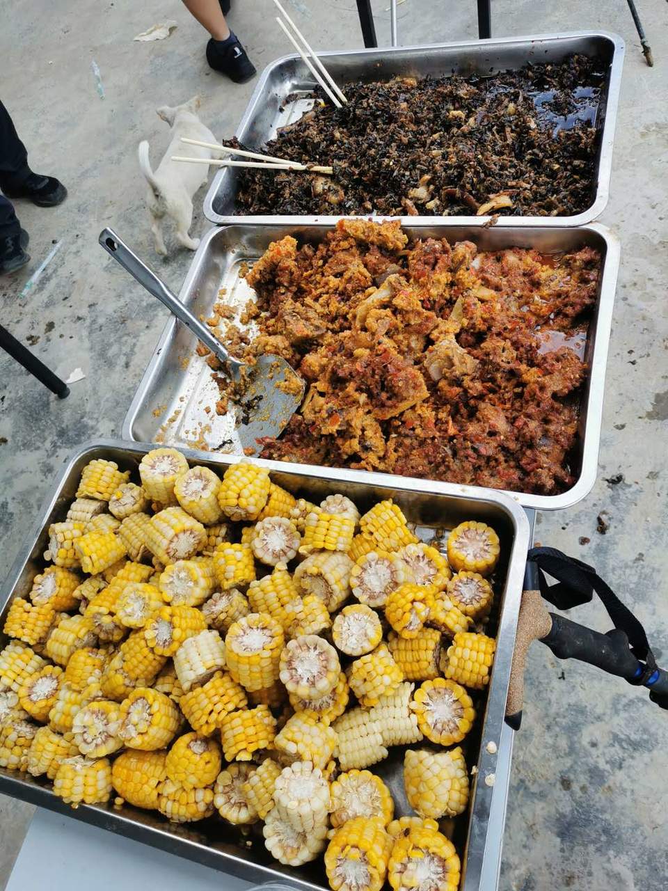 qnXQ9k7lQc8XsKAifs6JwcMwYgWFyDzTPWeQESqIdi0fKJxgttYWpqlF8zMXqYI7