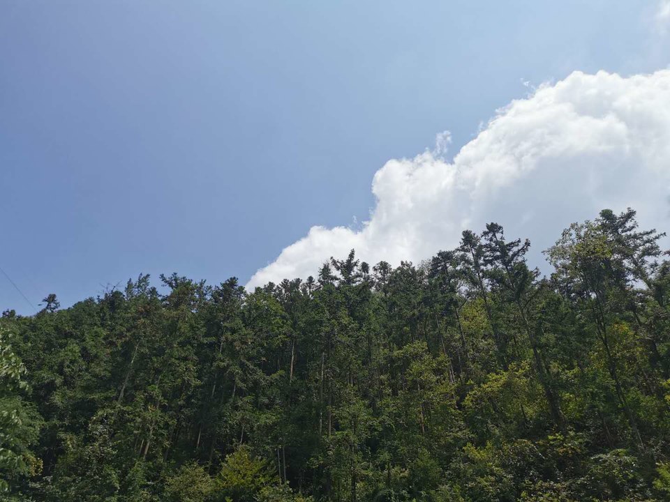 AJ_vu2Oamw7Gl053-eFCEupiw0XpRx5Znp4MPR2xuBRj7YmSFp4axLzDr8I-hn-p