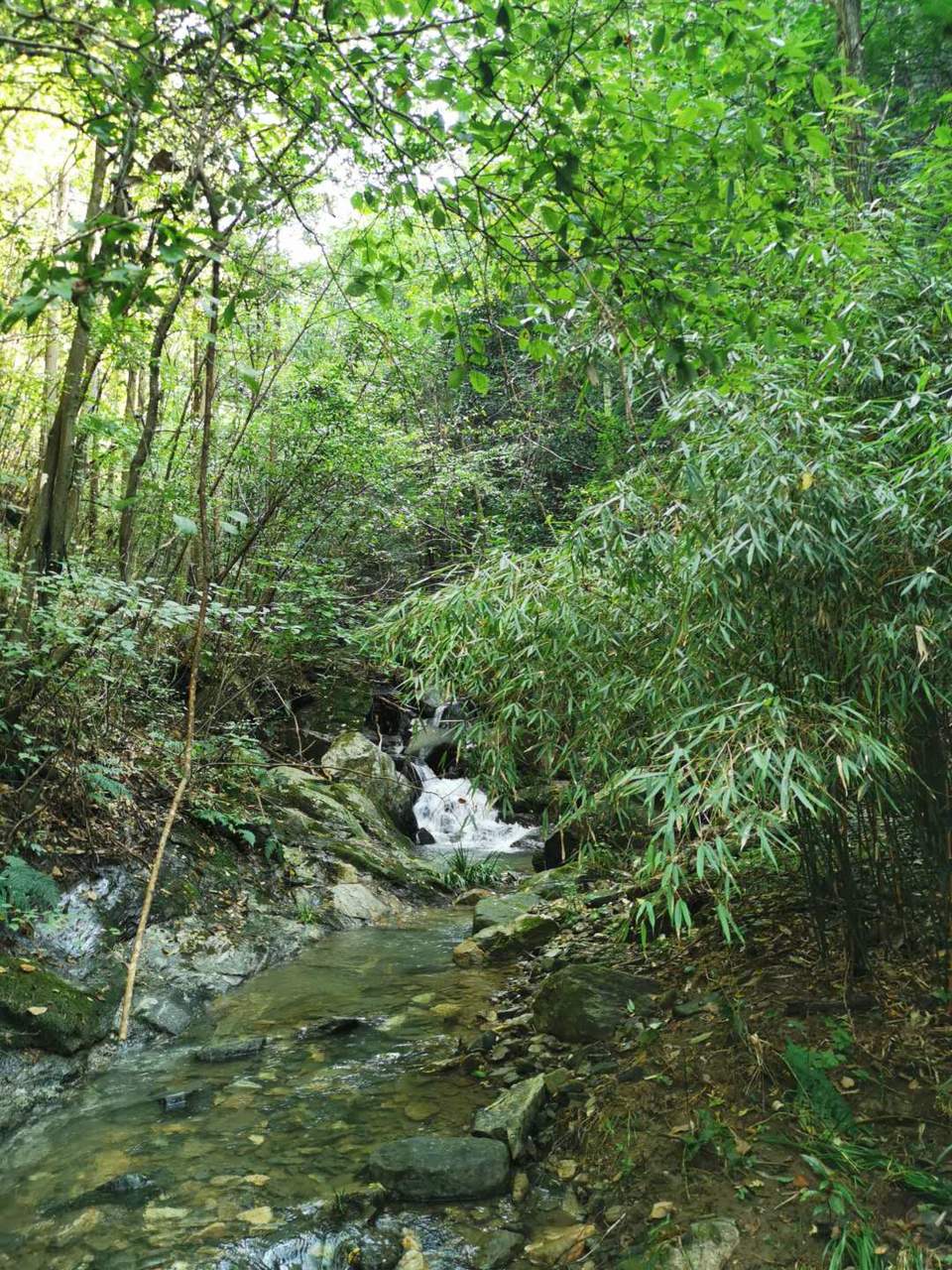 mwMzQk7UVWKNLkY_XBO5D1626gHg4REr1KdknLl6la-QgosDBFdaMGxxhNvpS-Xq