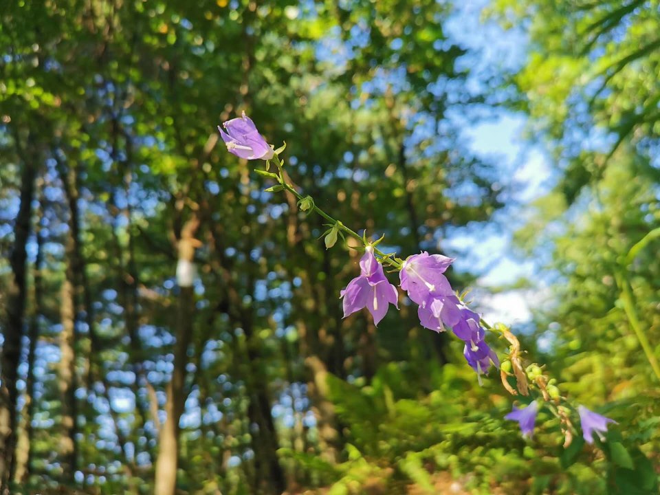 iYM1J735qw8dtNkV3JPlWXQtltQc_iXfjpooVTCx--ZWN-eLO8oa_J0hsMGoi4HA