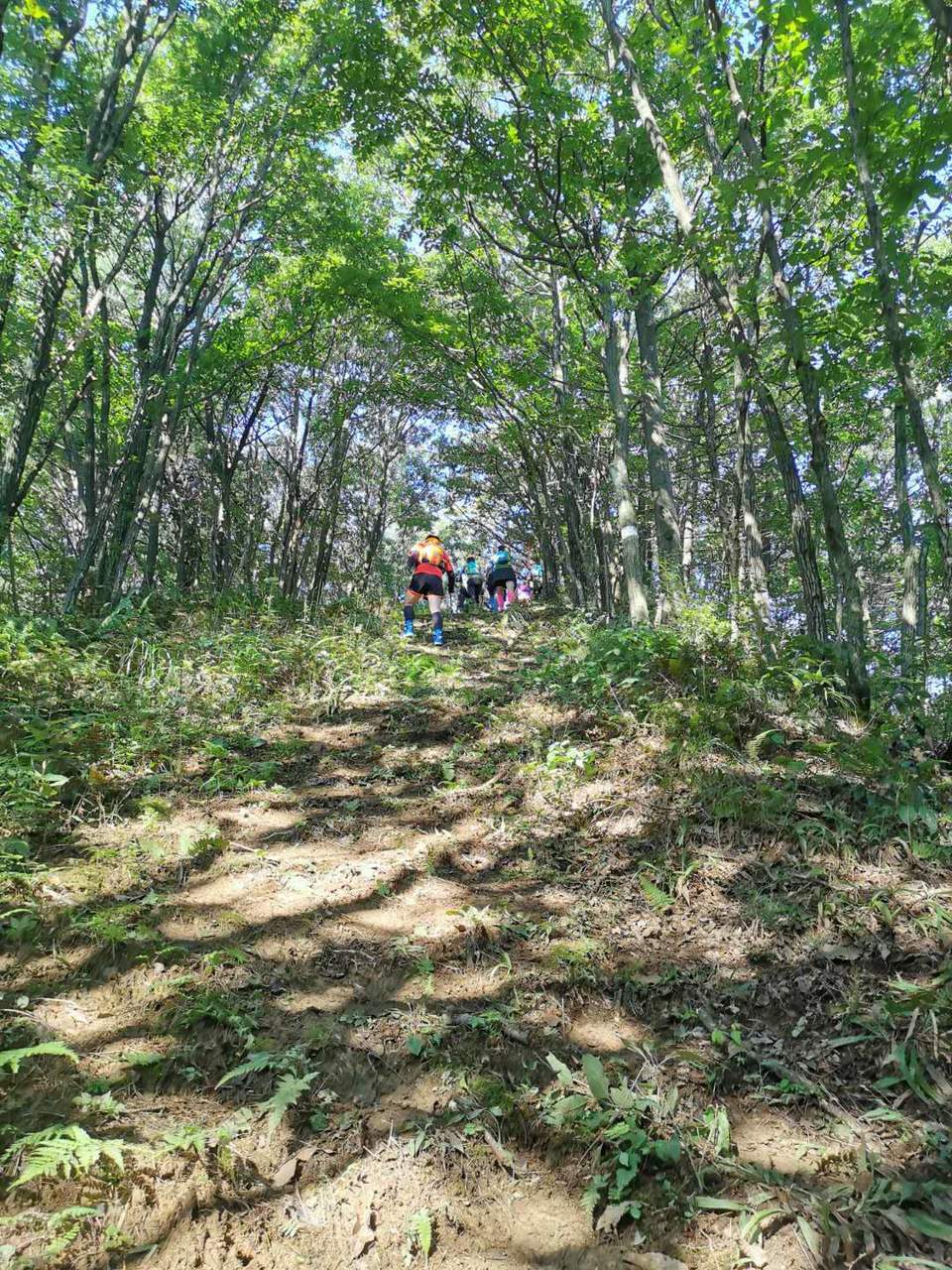 bQ_DUWd3bFoqFNXEZcOsN8OBoWH6Bn9OSwA81MxgmbUcMzilf9FaDmwqH0GxCh-W