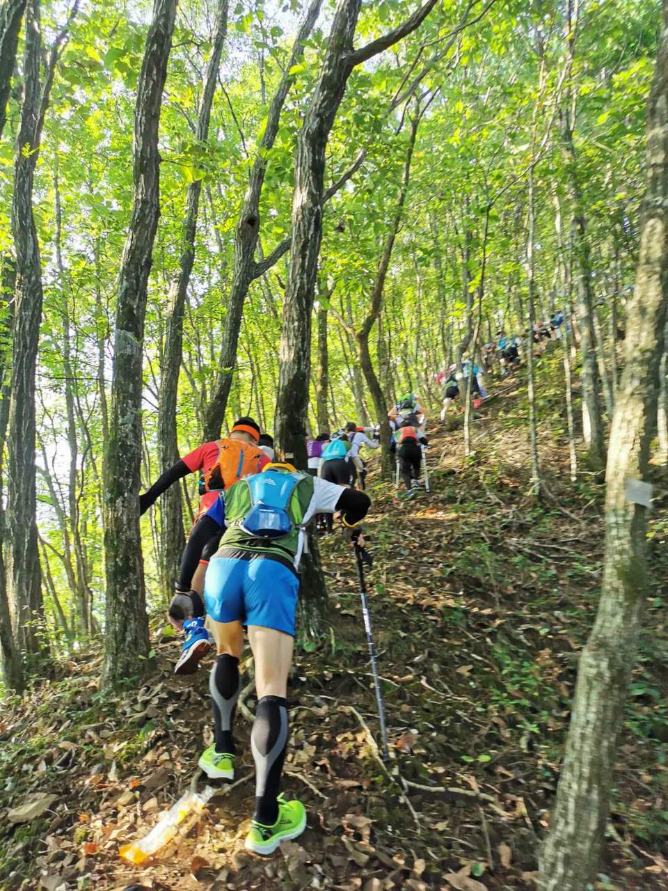 TiWU1dC-MUQOj5iU_RL_N83gYlRZWrk_olxBySmH78SXq_977f0bIUg09l4mXBvo