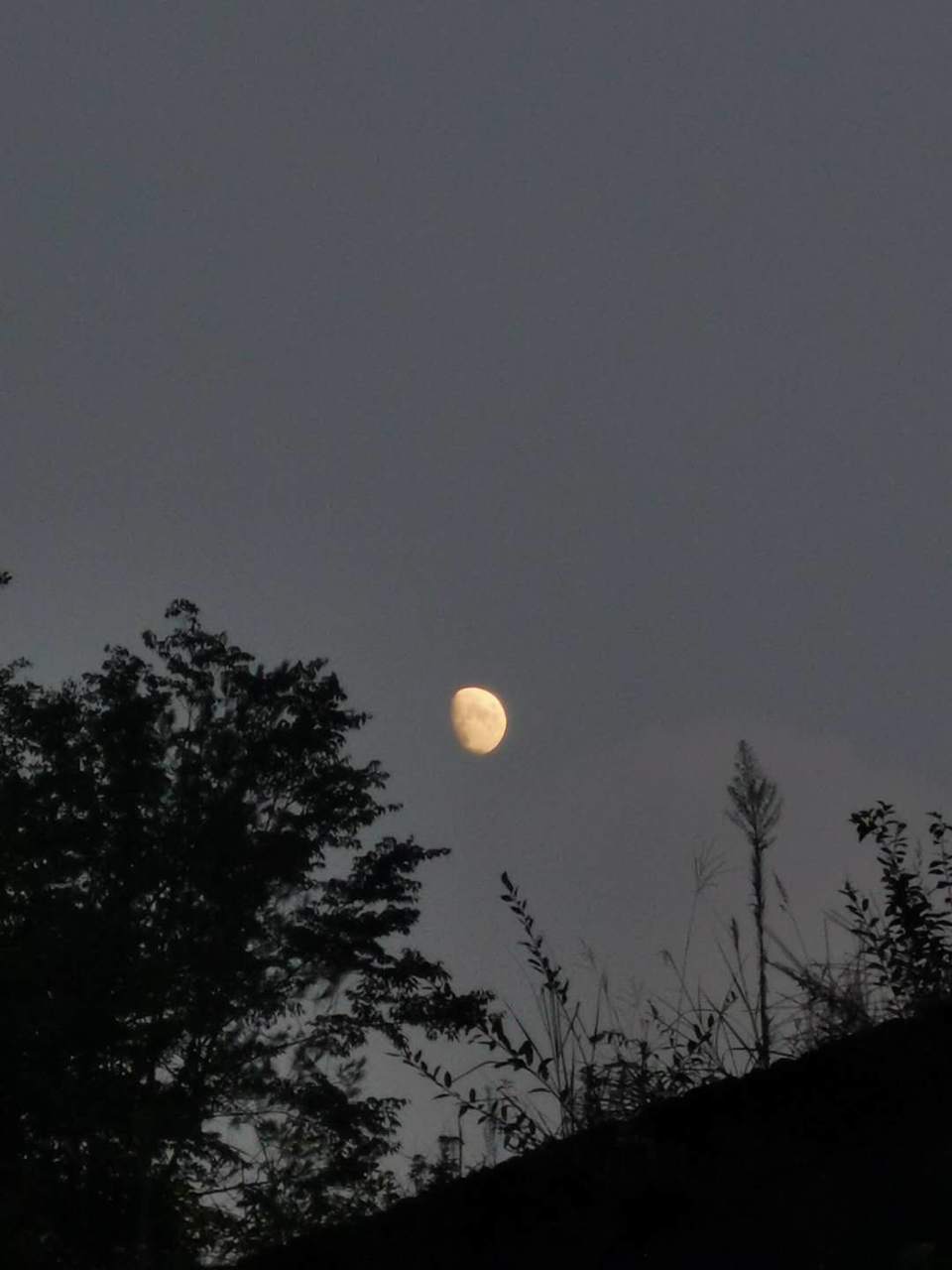 xWVQOtMBk4QcqzLU53QyW55LTxJFEtOOagC_NKFbtWCtMshaqC-l9wC8riQVhYLR