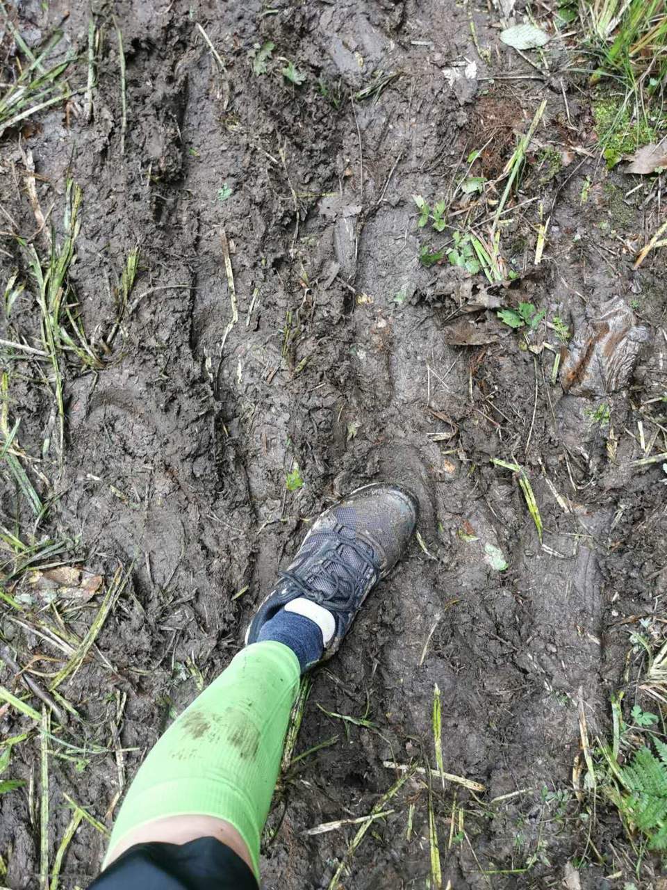 L5z5XEZ8RrXLVBfEnn_AA1Wv01yulotVpviGL96HHrH7jbmbCyXgchIpPUL8iLC5