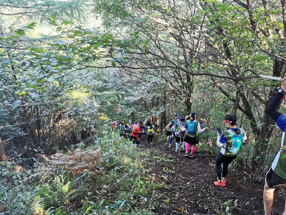 SdVmz_3Gn4leISZmKhwvgMx2yJd4R51YCzZM5iZ1f1eD8odroXhNhn1iZxj3ufJD