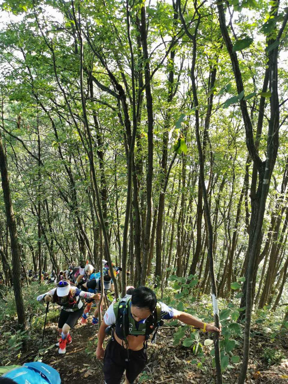 PP6nU_RyuNJjwoZI0IGFtPkSquFsA2E1xxv72WJL-hf5WgdGyj-hKIgLAyGgnHPt