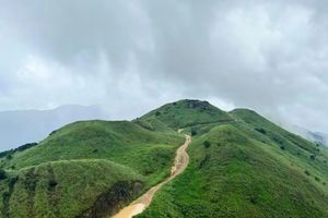 【惠州金色大南山1天】周六、日、节假日 | 特价98，邂逅秋日金色大南山芒花季，徒步穿越迷人高山草甸1天