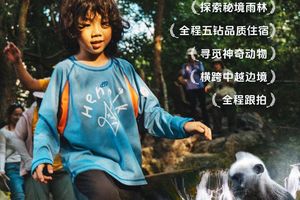 【春假】邂逅崇左5日｜超高性价比 |横跨中越边境，寻濒危叶猴，追中华白海豚！探秘限定雨林，捕捉瞬息丁达尔圣光！