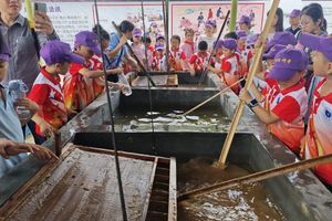 【亲子1天】4月5日  广宁 | 魅力竹乡~DIY编竹艺、坐竹排、古法竹浆造纸、感受竹林大观￥238