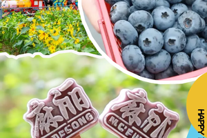 【4月4日】蓝莓星球亲子日！坐小火车去摘蓝莓、喂萌宠、做蓝莓冰棍，DIY蓝莓吐司，去春天里「活动大冲关」吧！