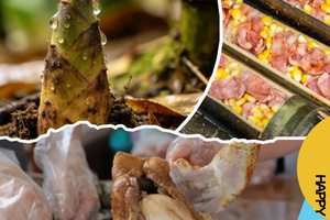 【4月5日│亲子】清明限定！挖笋采艾、砍竹野炊……带娃去山野过个“馋哭”的春天！