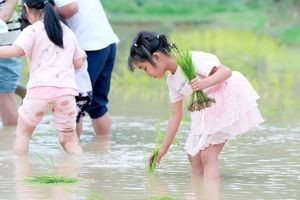 五一欢乐营独立营 |5月1-3/3-5日 假期遛娃天花板，三天活动不重样，农耕+户外+美食，一站式承包孩子的快乐假期！