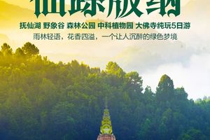 提前报名立减80！【动车-西双版纳】5.01-05 | 抚仙湖  野象谷 森林公园  中科植物园 大佛寺 三动纯玩5日游