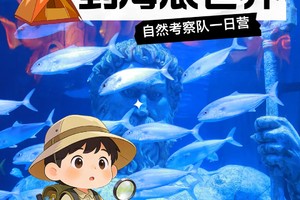 成行自然考察队一日营！4月6日从热带雨林到海底世界，孵化小乌龟，企鹅保育课堂，DIY企鹅小夜灯