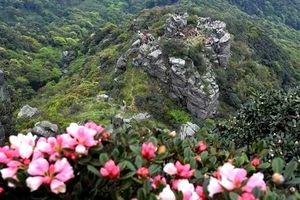 【茶岩顶】周三、六、日 | 特价118，莽石嶙峋，广东的张家界-茶岩顶穿越赏高山杜鹃