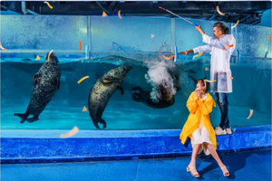 【五一海洋馆2天早鸟立减】5月3-4日不塞车不怕热遛娃天花板！玩转冰雪世界和海洋馆！可亲子可独立，包车包食宿！提供帐篷睡