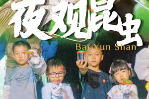 成行【夜观昆虫2026】4月18/25/26日灯诱法夜观昆虫，夜幕点亮昆虫王国