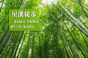 【星溪徒步】周六、日 、节假日每天发 | 特价88，徒步穿越十里竹海 感受最美乡村小径~