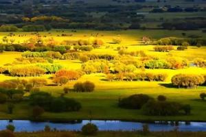 徒个中国●内蒙古丨9月21-27日|大兴安岭50公里徒步活动