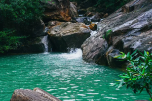 【白江湖徒步】6月29日 | 白江湖，溯溪探湖森林徒步节