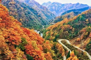 【大美光雾山】漫山红叶染金秋 · 6人即配纯玩领队 · 15人即升级保姆车