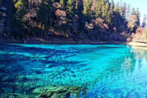 【成都九寨沟-高铁7天】10.01-07｜成都九寨沟、黄龙、乐山大佛、峨嵋山7天