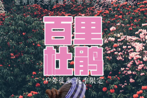 【百里杜鹃】3.28，4.03，4.11，4.16出发 | 2026贵州花季小众秘境4天3晚轻徒旅行