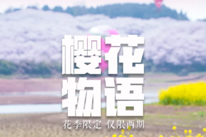 【樱花物语】 3.18，3.21，3.25出发 | 贵州春日花季限定5天4晚