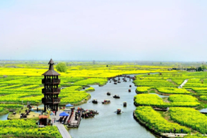 2026烟花三月下扬州｜3月17-27出发江南春日赏花顶流之旅，扬州瘦西湖、兴化千岛垛田、无锡鼋头渚、李中水上森林5日游