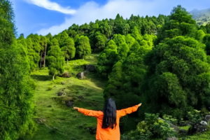 【夜登六五顶】每三、六、日出发 | 看漫天繁星，壮美日出！一起走进广西那拉提